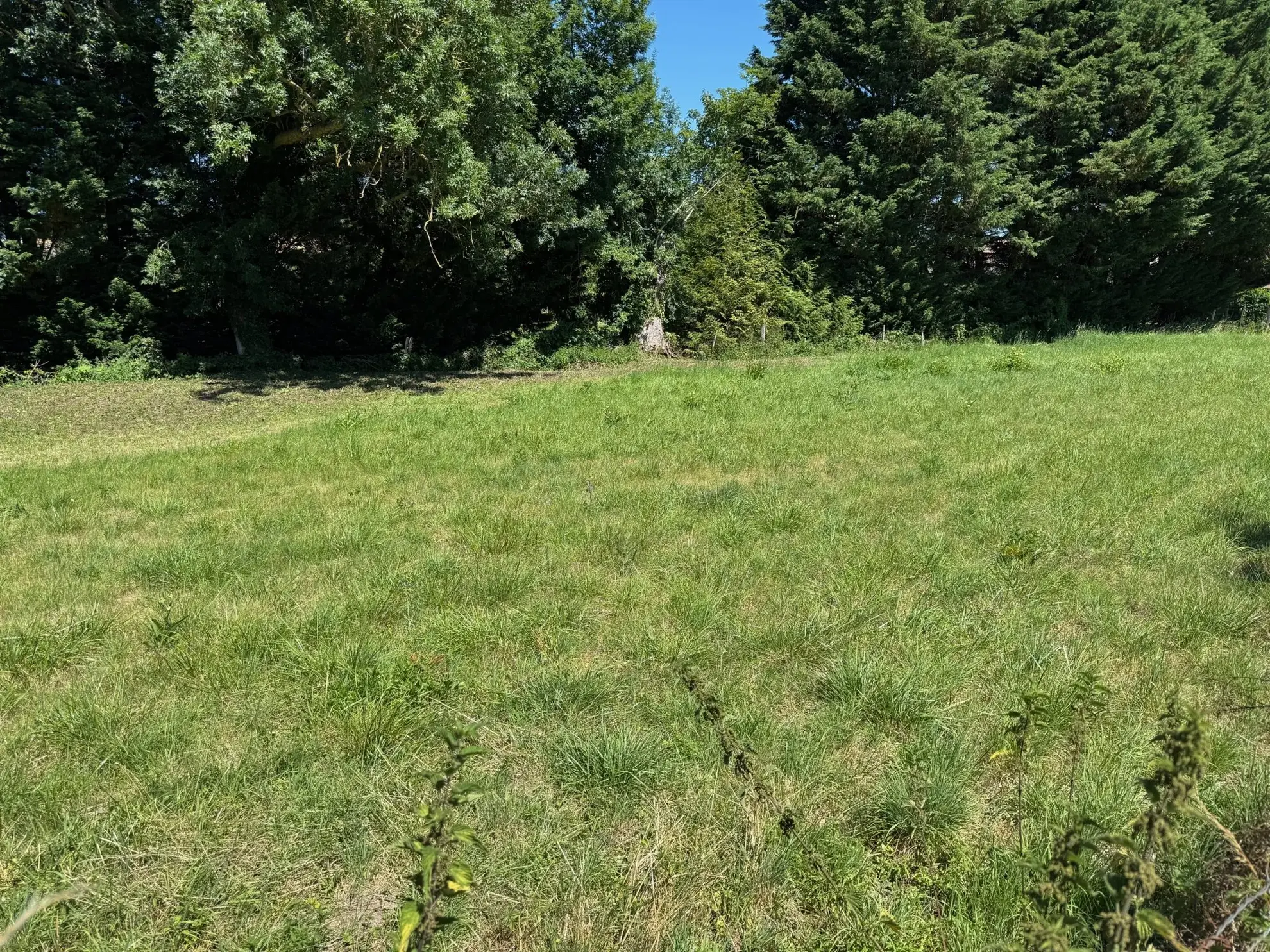 Terrain constructible de 1423m² proche de Pacy - Opportunité à saisir 