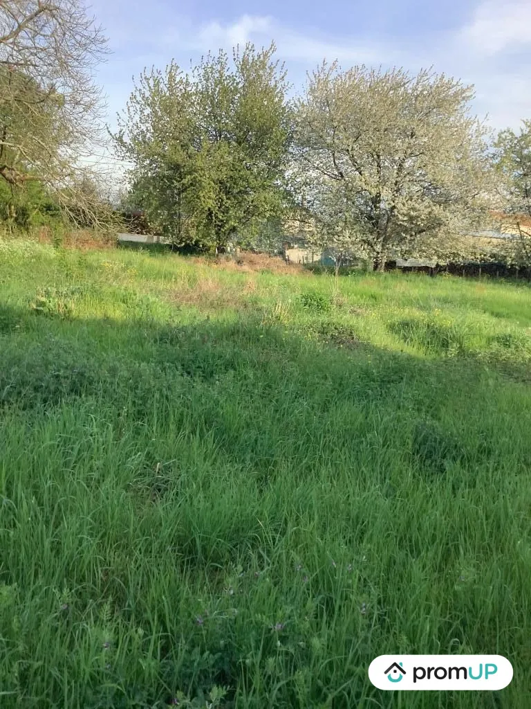 Terrain constructible de 2543 m² à Nanteuil en campagne calme 