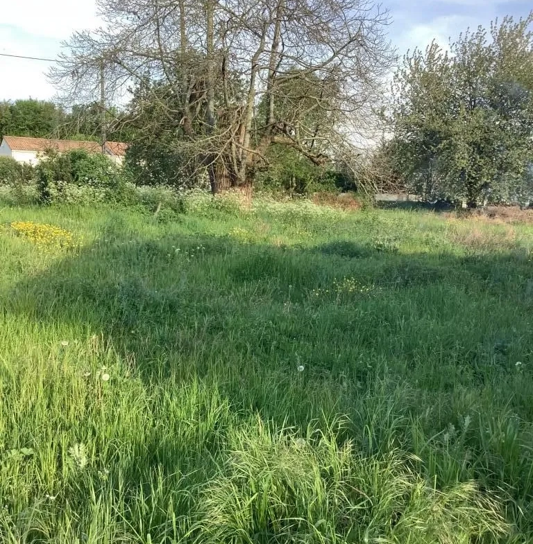 Terrain constructible de 2543 m² à Nanteuil en campagne calme 