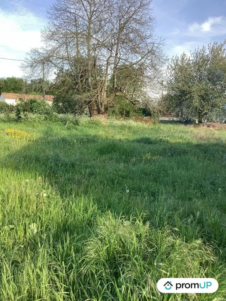 Terrain constructible de 2543 m² à Nanteuil en campagne calme 