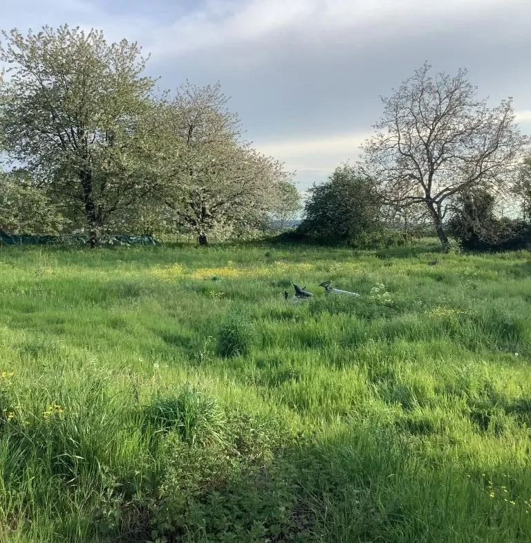 Terrain constructible de 2543 m² à Nanteuil en campagne calme 