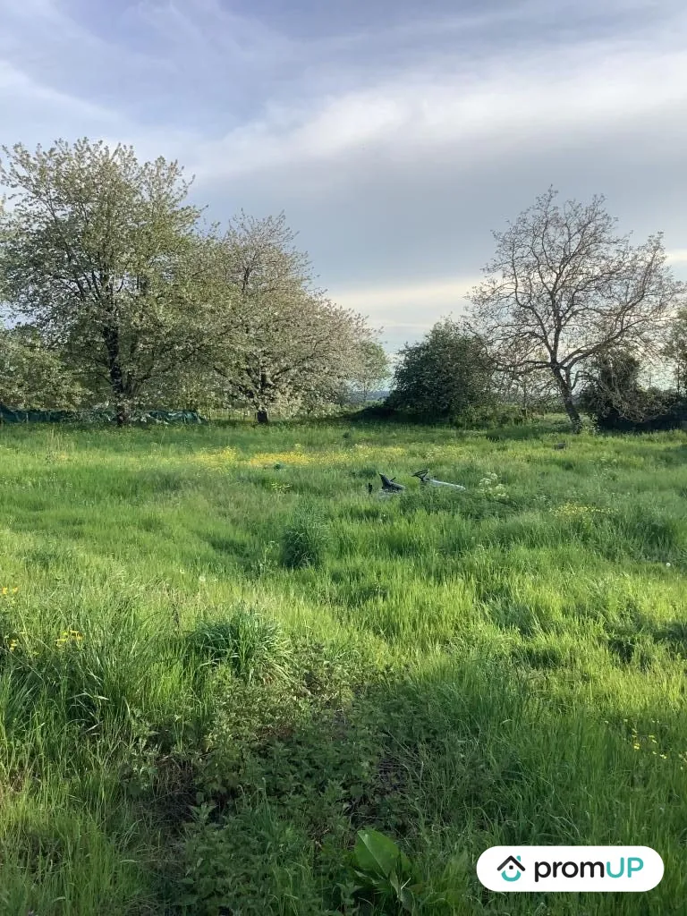 Terrain constructible de 2543 m² à Nanteuil en campagne calme 