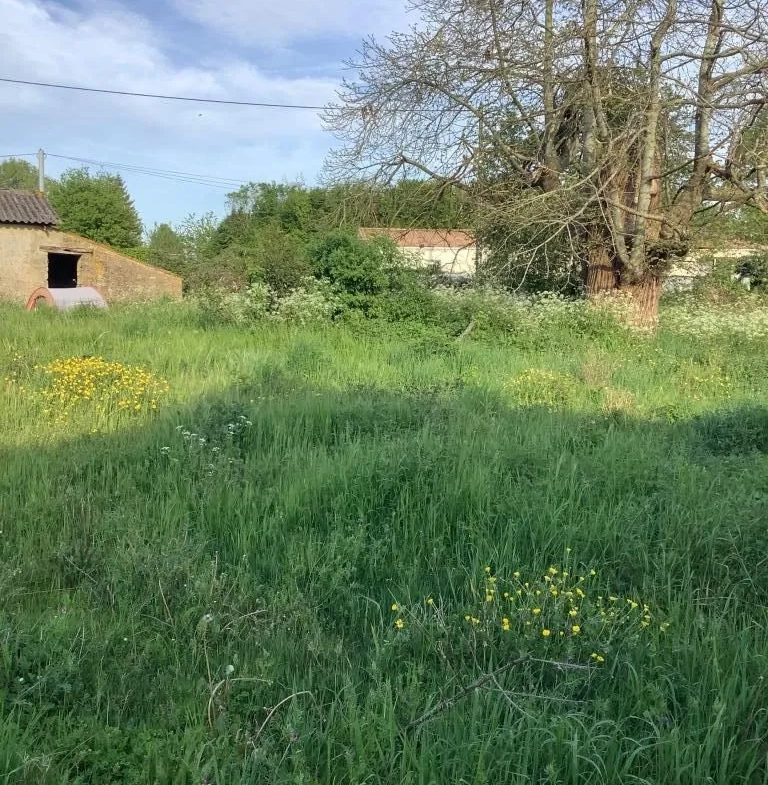 Terrain constructible de 2543 m² à Nanteuil en campagne calme 