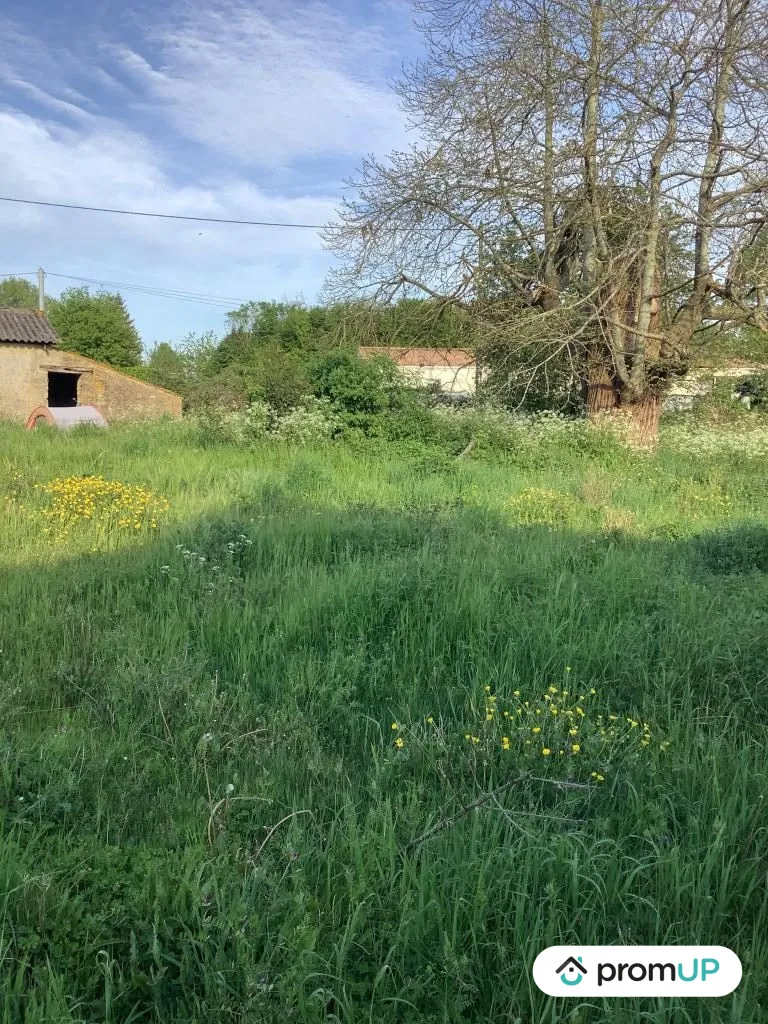 Terrain constructible de 2543 m² à Nanteuil en campagne calme 