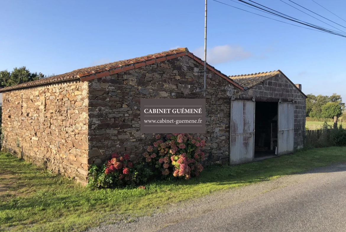Maison ancienne à Vieillevigne avec dépendances et jardin 