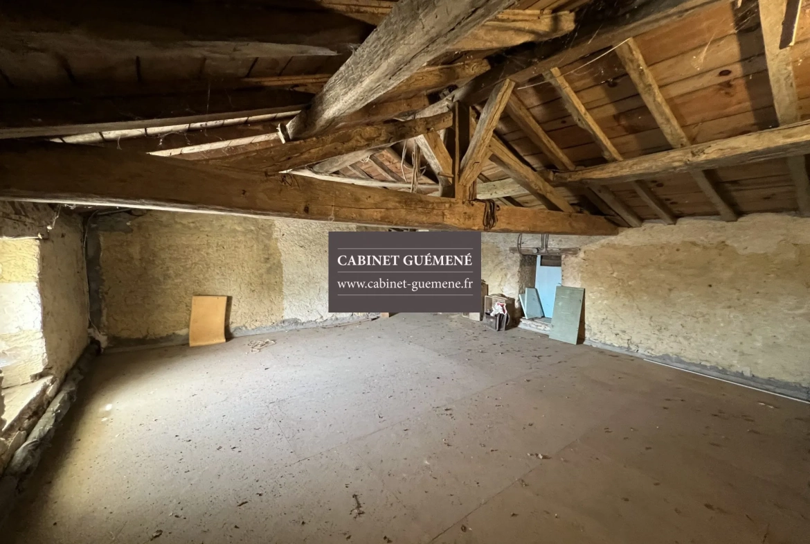 Maison ancienne à Vieillevigne avec dépendances et jardin 