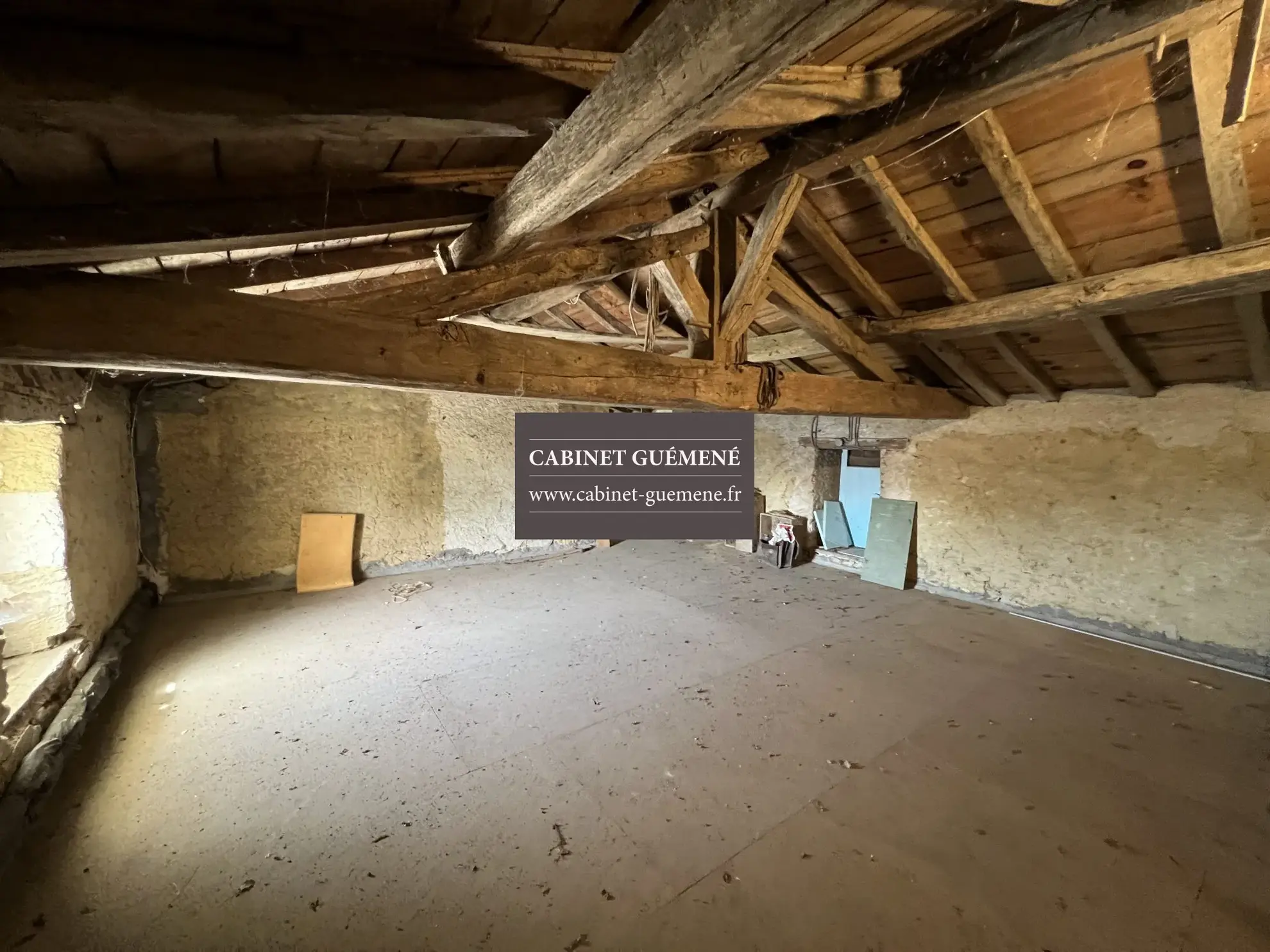 Maison ancienne à Vieillevigne avec dépendances et jardin 