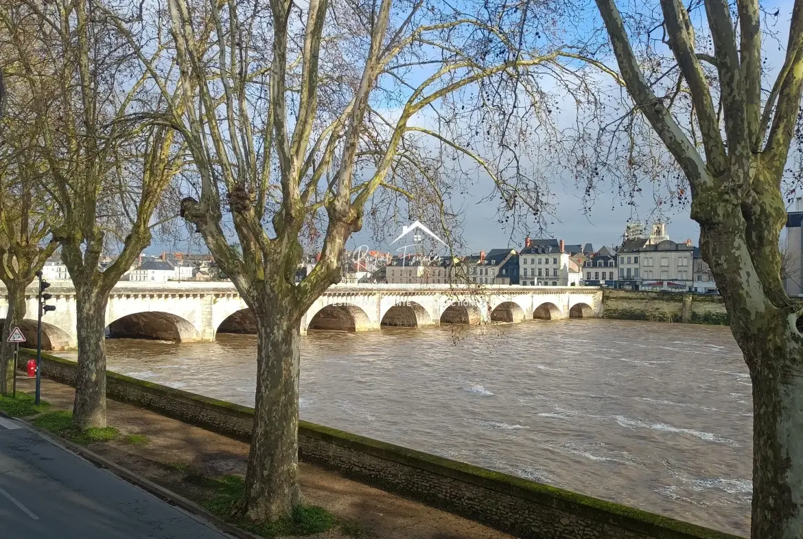 Vue de la terrasse  Maison ancienne rénovée à Châtellerault avec 160 m², 2 chambres, proche commodités 