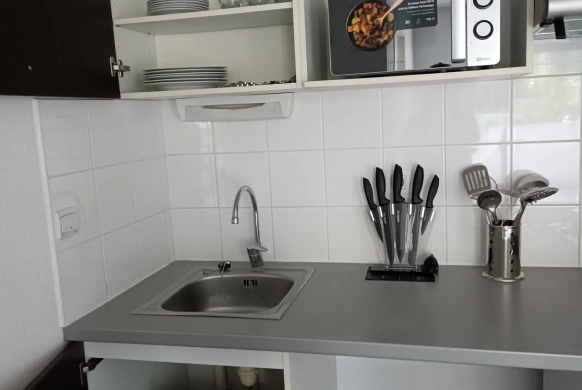 Achat appartement 2 pièces avec terrasse à Toulouse Aucamville 