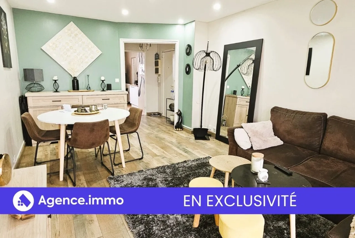 Appartement T3 à vendre à Tours, vue sur le Cher, balcon sud, proche transports et commodités 