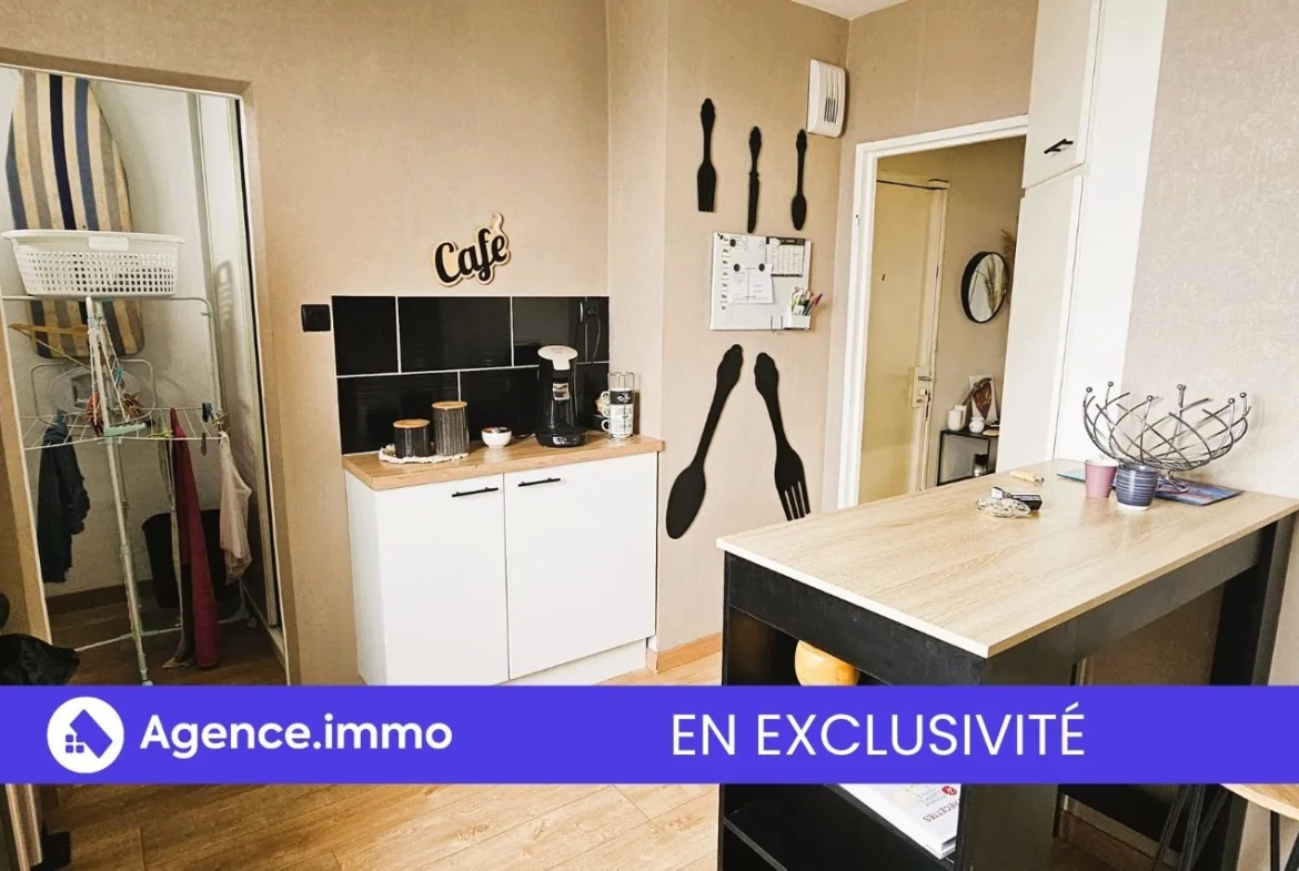 Appartement T3 à vendre à Tours, vue sur le Cher, balcon sud, proche transports et commodités 