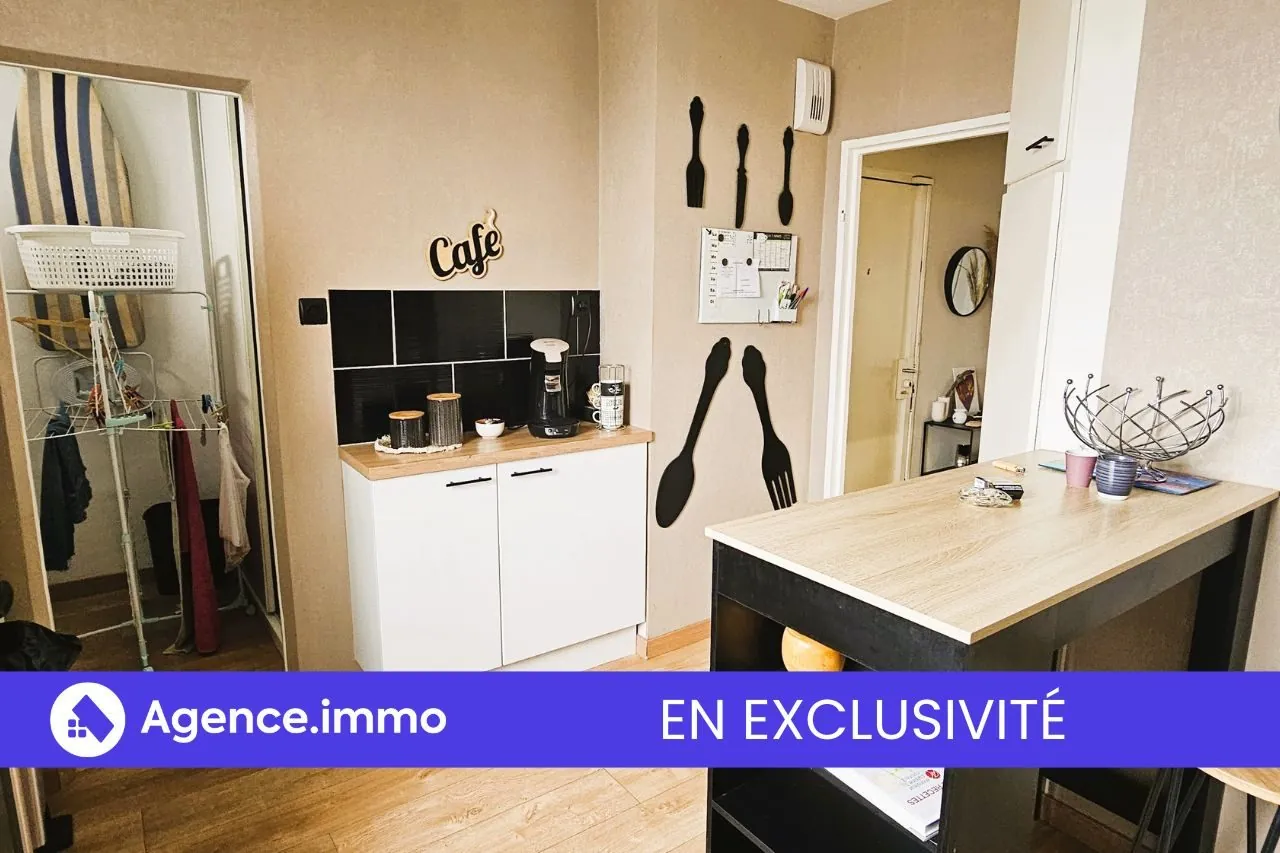 Appartement T3 à vendre à Tours, vue sur le Cher, balcon sud, proche transports et commodités 