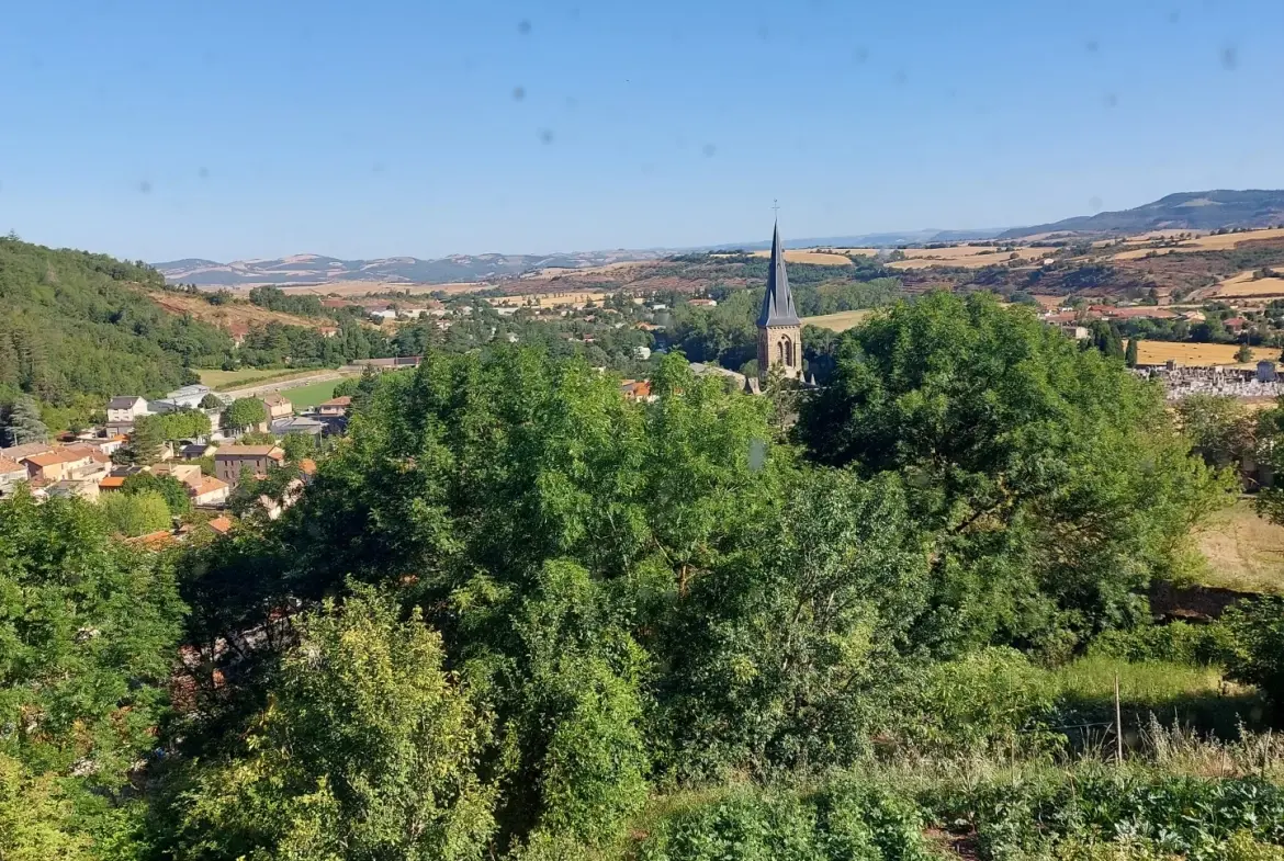 Belle maison en pierres avec potentiel de rénovation à Camares (12360) 