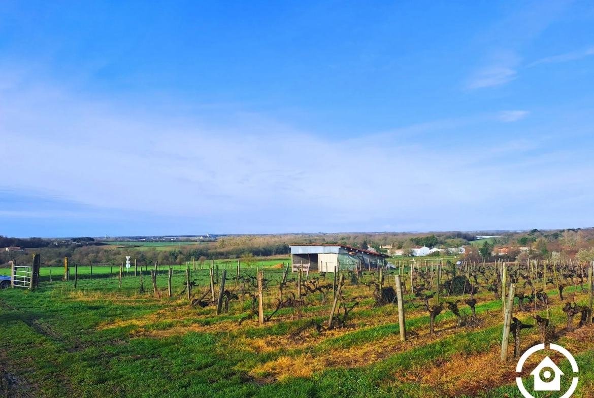 Terrain constructible non viabilisé à AVY avec vue dégagée, opportunité d'investissement 
