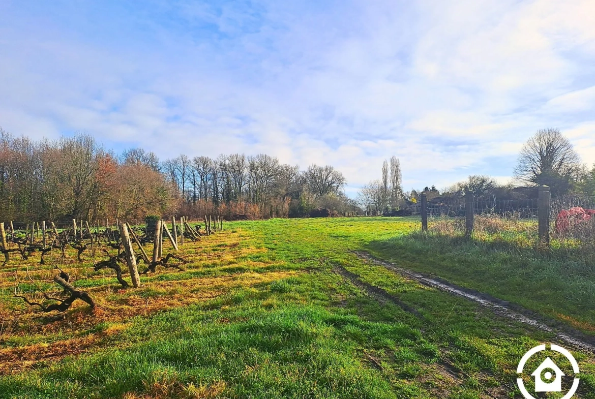 Terrain constructible non viabilisé à AVY avec vue dégagée, opportunité d'investissement 
