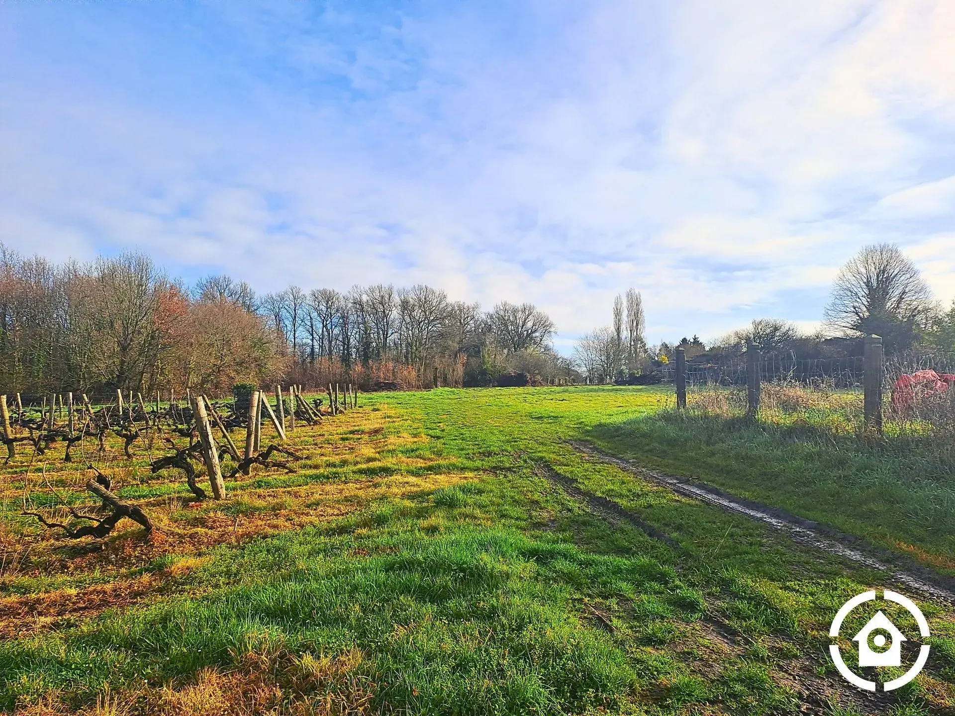 Terrain constructible non viabilisé à AVY avec vue dégagée, opportunité d'investissement 