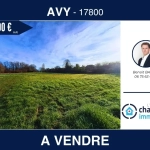 Terrain constructible non viabilisé à AVY avec vue dégagée, opportunité d'investissement