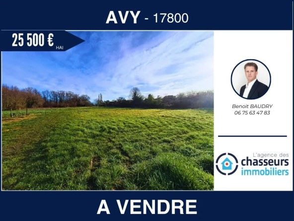 Terrain constructible non viabilisé à AVY avec vue dégagée, opportunité d'investissement