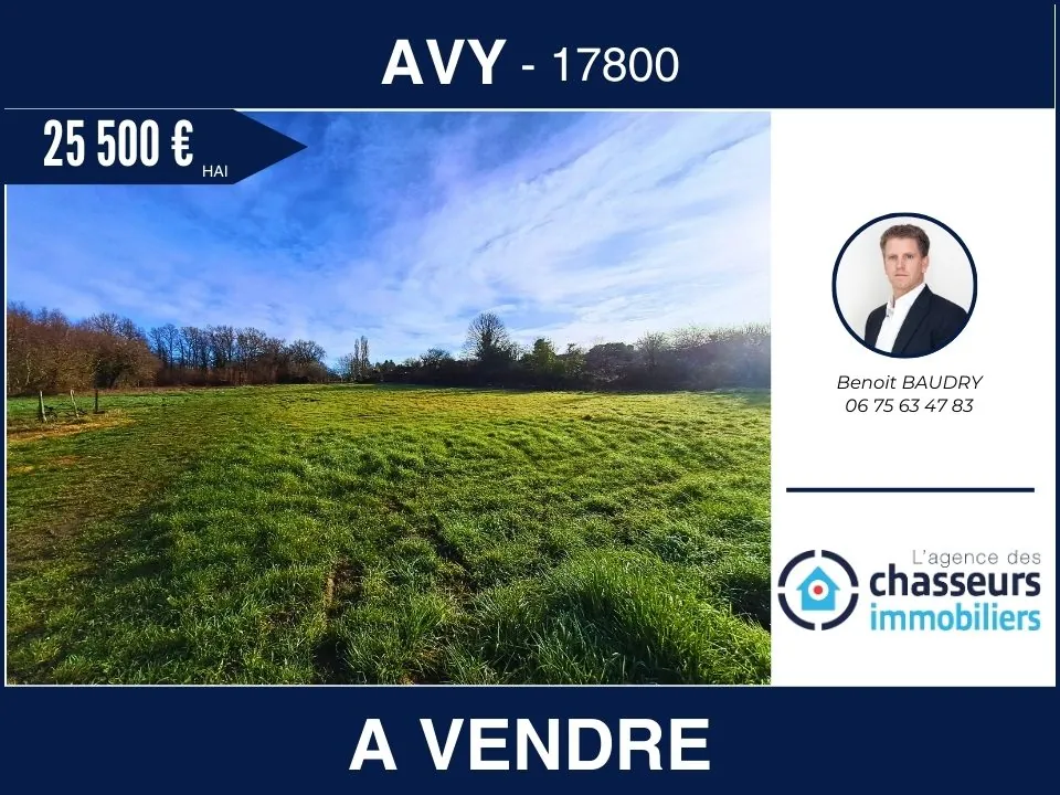 Terrain constructible non viabilisé à AVY avec vue dégagée, opportunité d'investissement 