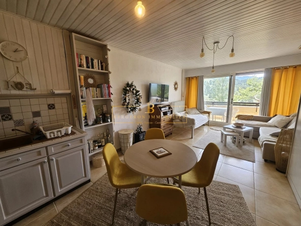 Studio à vendre à Gréolières avec balcon et vue sur pistes – Investissement idéal
