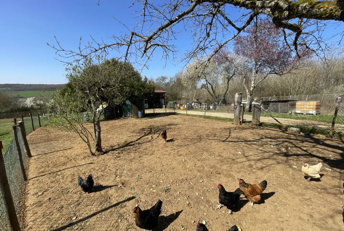 Maison rénovée avec vue imprenable sur la nature à Brosses - 62 m² 