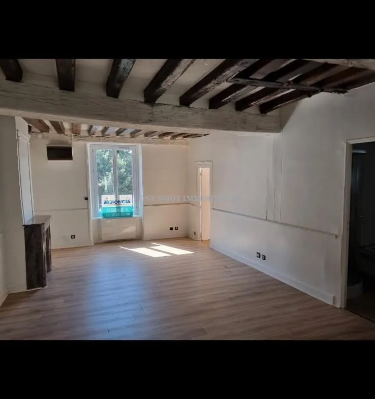 Bel appartement 3 pièces lumineux à Orléans Sud avec véranda et charme ancien 
