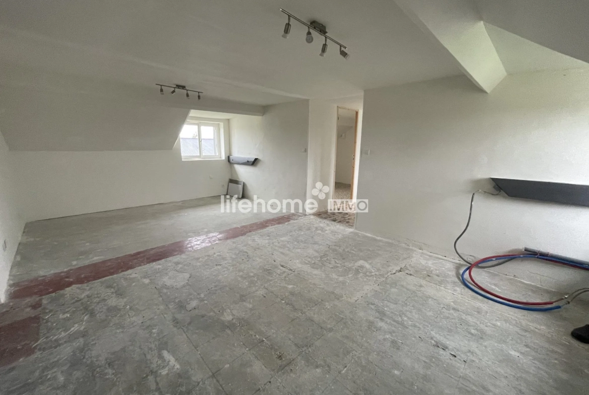 Maison en deux appartements avec grand terrain à Luçay-le-Mâle 