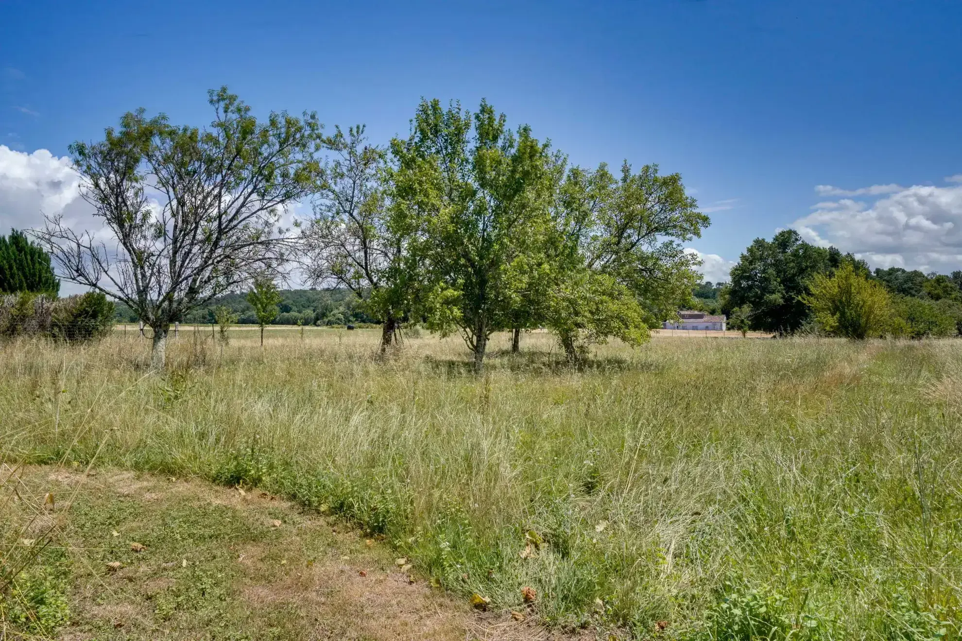 Belle longère de 190m² avec garage, hangar et grand terrain à Marcillac 