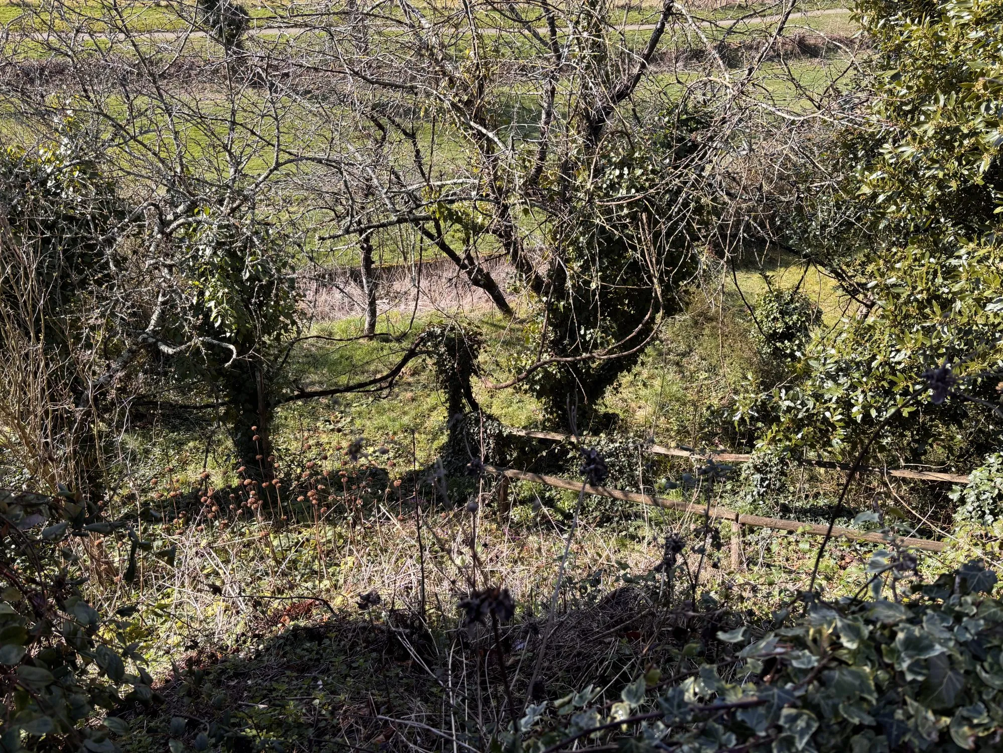 Charmante maison familiale à Conlie avec terrain et terrasse 