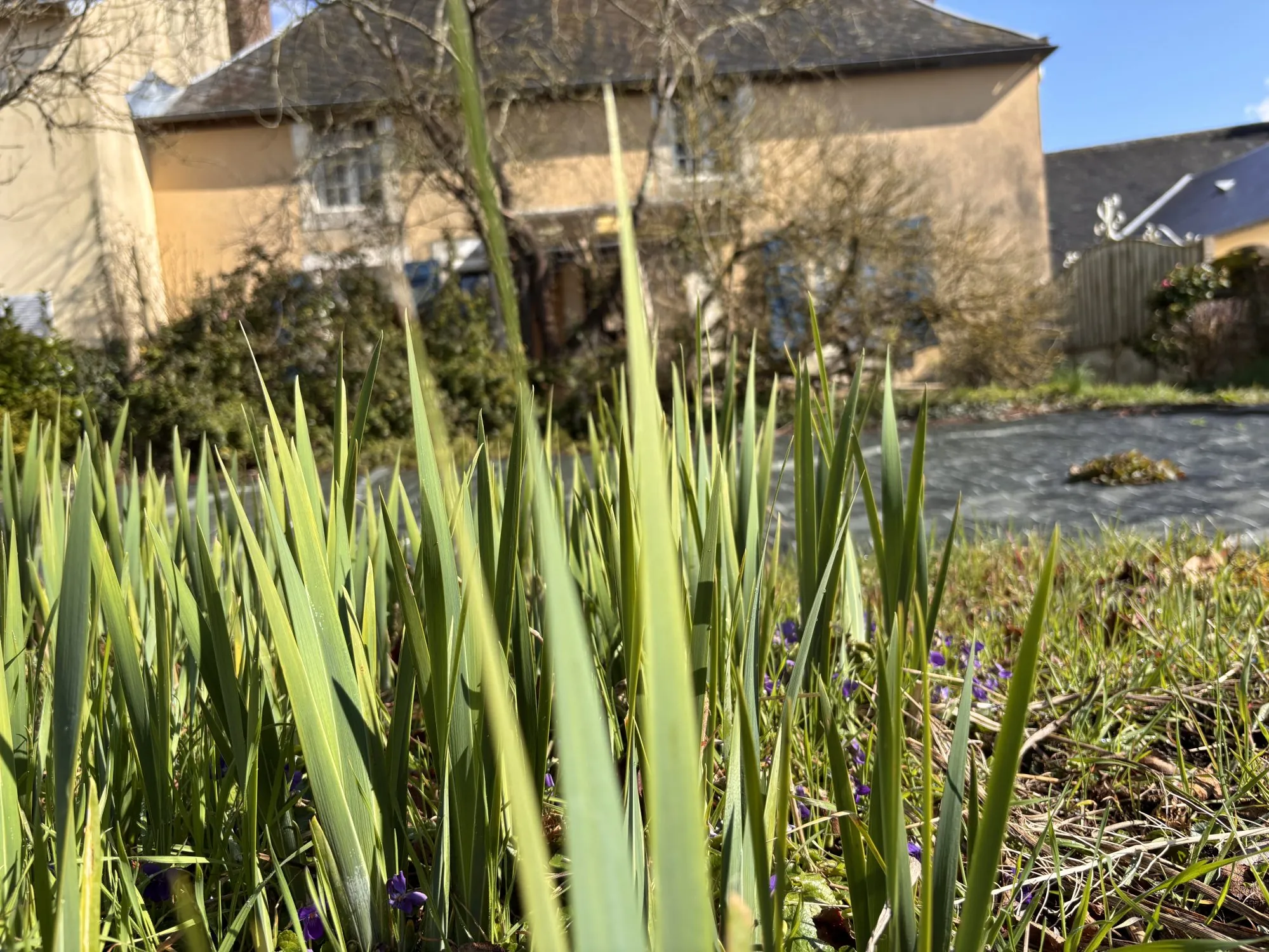Charmante maison familiale à Conlie avec terrain et terrasse 