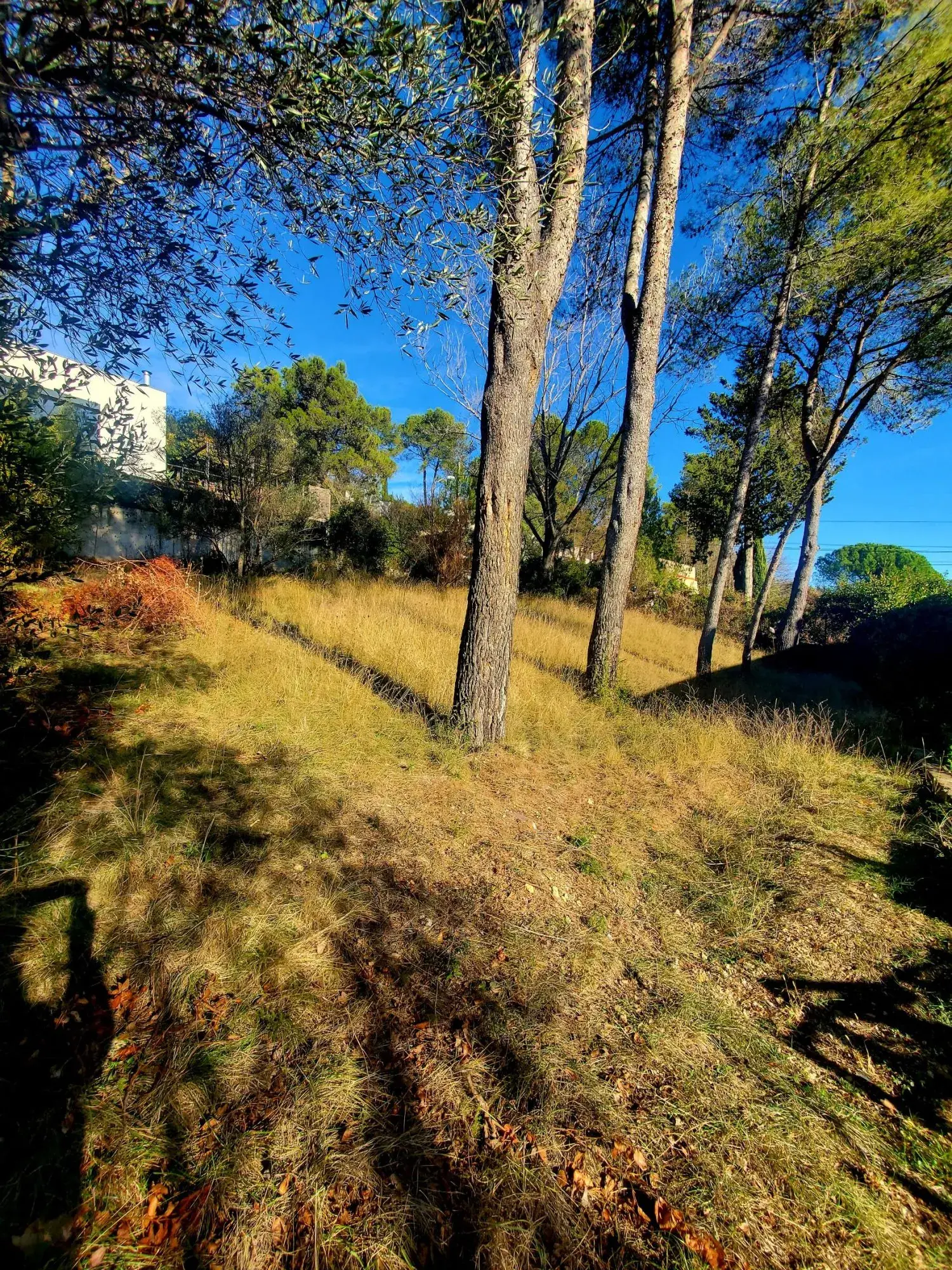 Terrain constructible de 600 m² à Grabels – Vue dégagée et exposition plein sud 