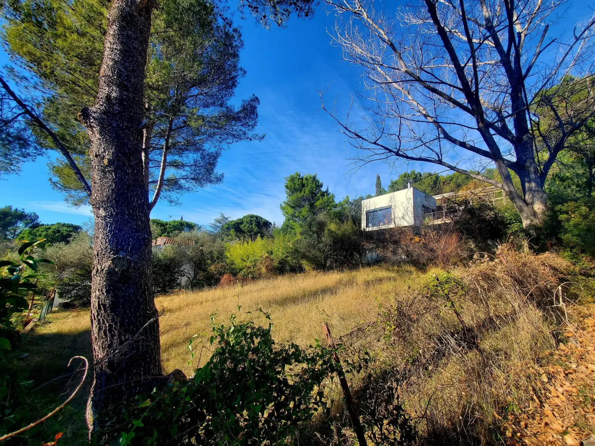 Terrain constructible de 600 m² à Grabels – Vue dégagée et exposition plein sud 