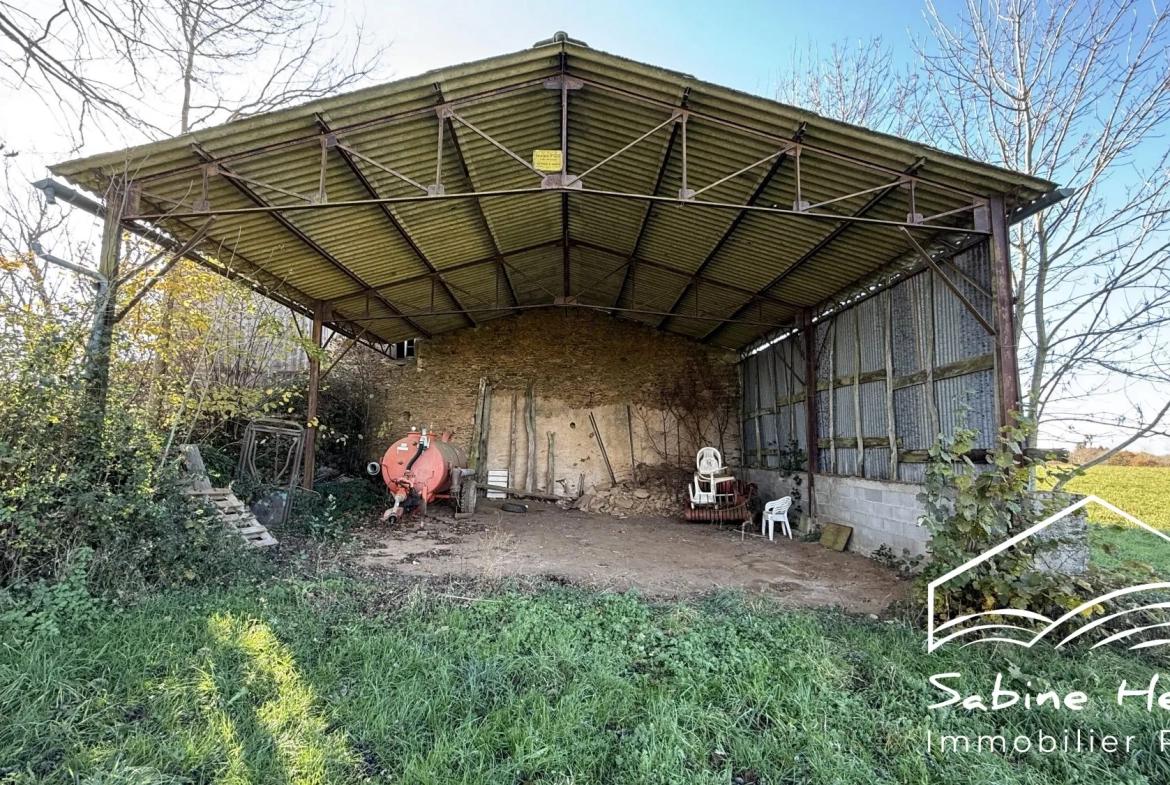 Ferme à rénover sur plus de 2 ha à Mirandol-Jouqueviel 