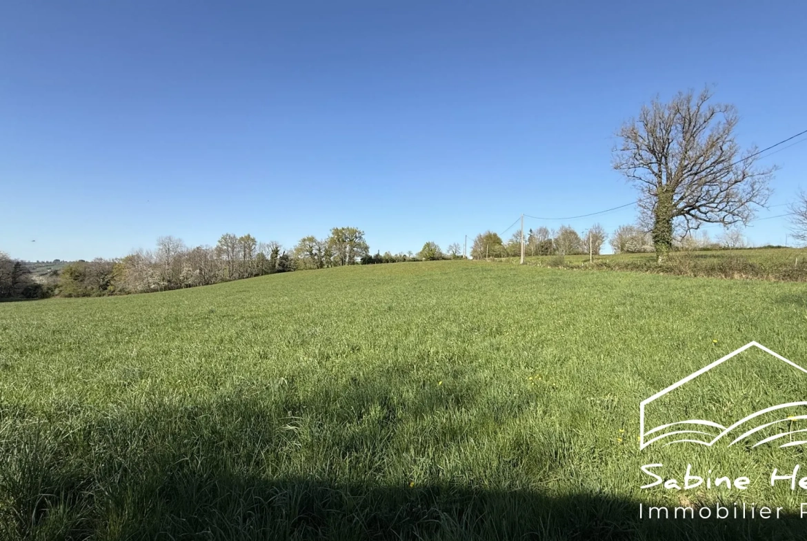 Ferme à rénover sur plus de 2 ha à Mirandol-Jouqueviel 