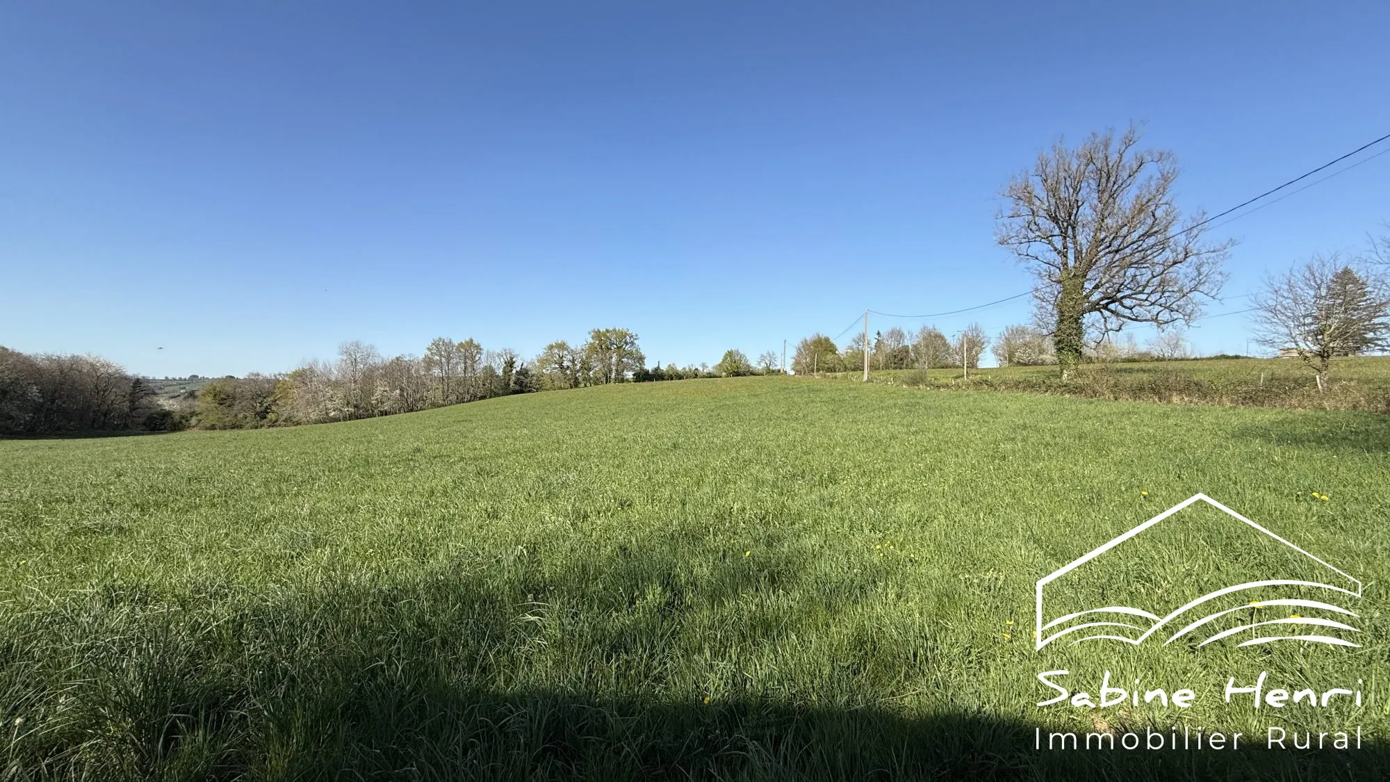 Ferme à rénover sur plus de 2 ha à Mirandol-Jouqueviel 
