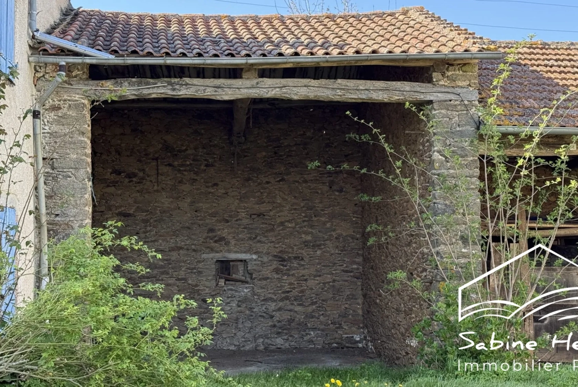 Ferme à rénover sur plus de 2 ha à Mirandol-Jouqueviel 