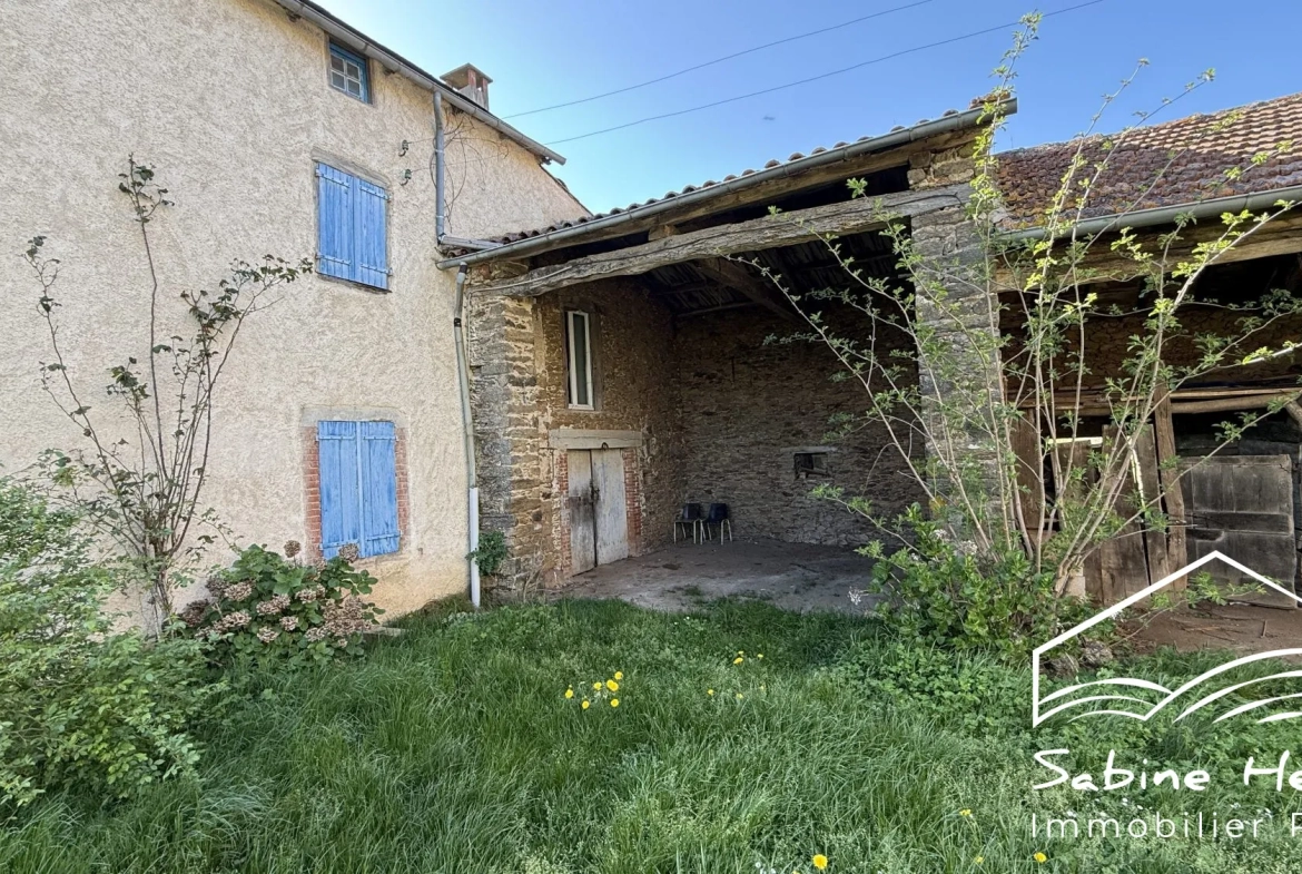 Ferme à rénover sur plus de 2 ha à Mirandol-Jouqueviel 