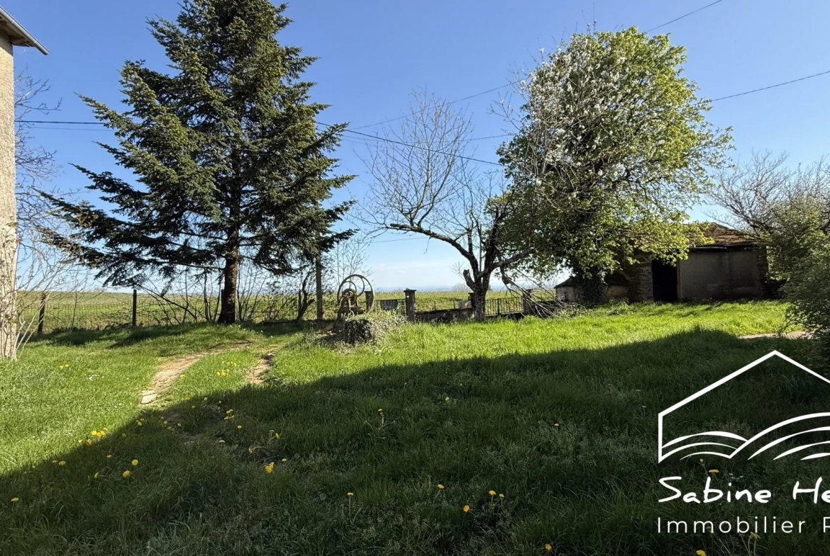 Ferme à rénover sur plus de 2 ha à Mirandol-Jouqueviel 