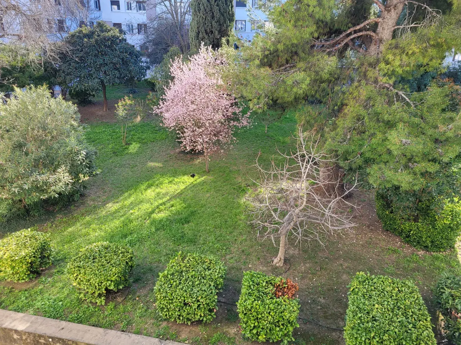 Appartement F3 de 61 m² avec balcon à Montpellier, proche commodités 