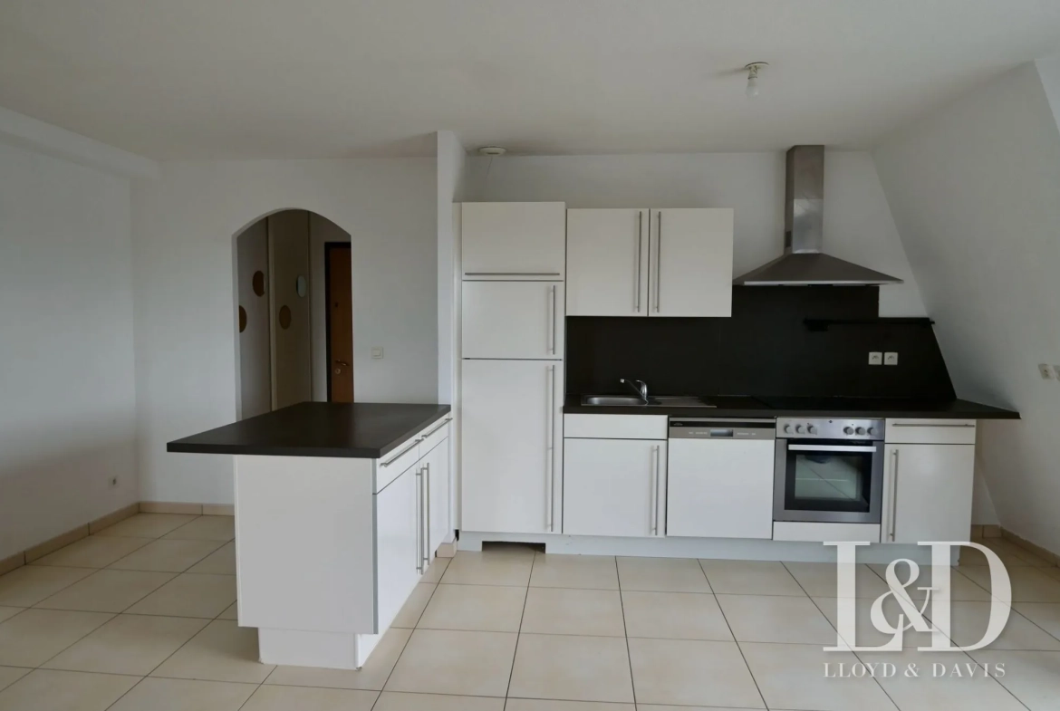 cuisine équipée Appartement T3 à vendre avec terrasse et vue sur les Vosges à Mulhouse 