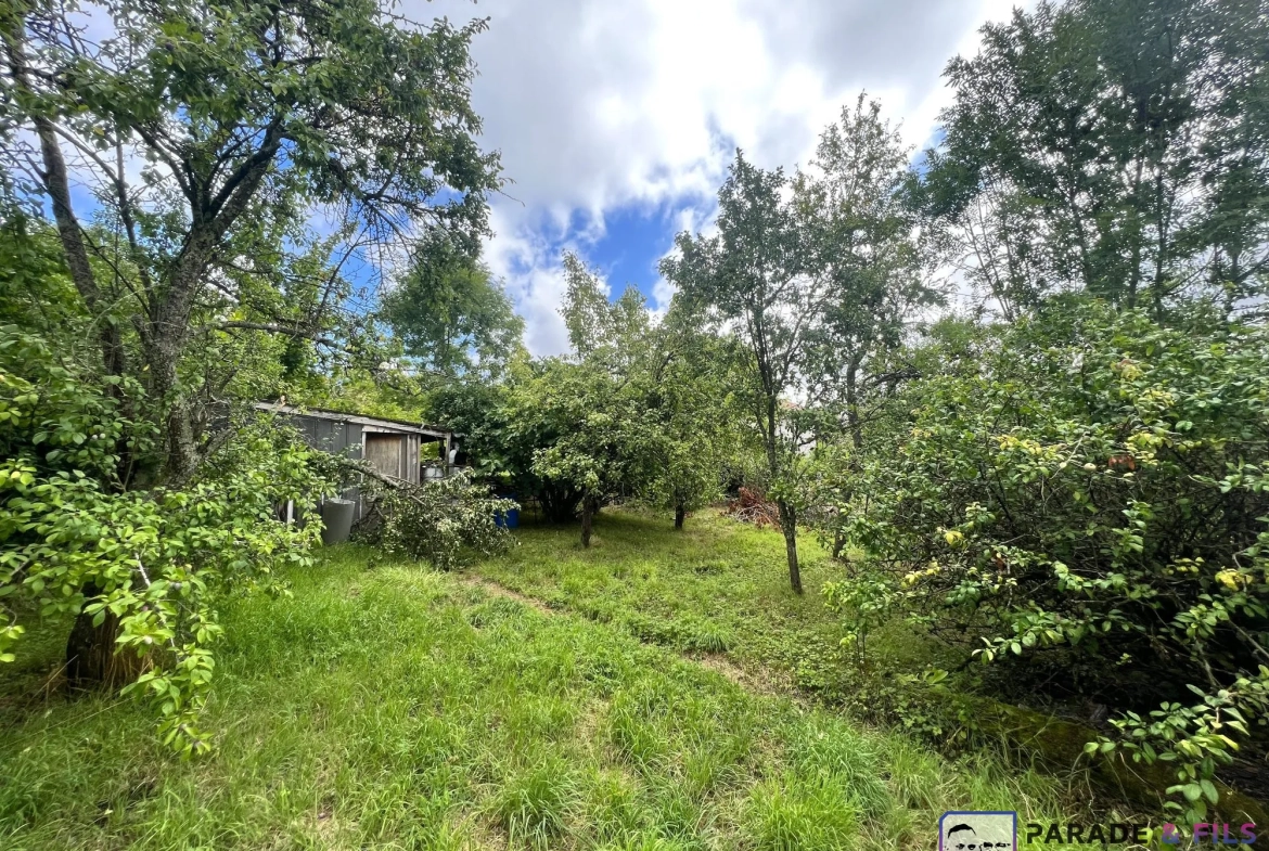 Maison familiale à rénover ou à construire sur terrain de 670 m² à Malzéville 