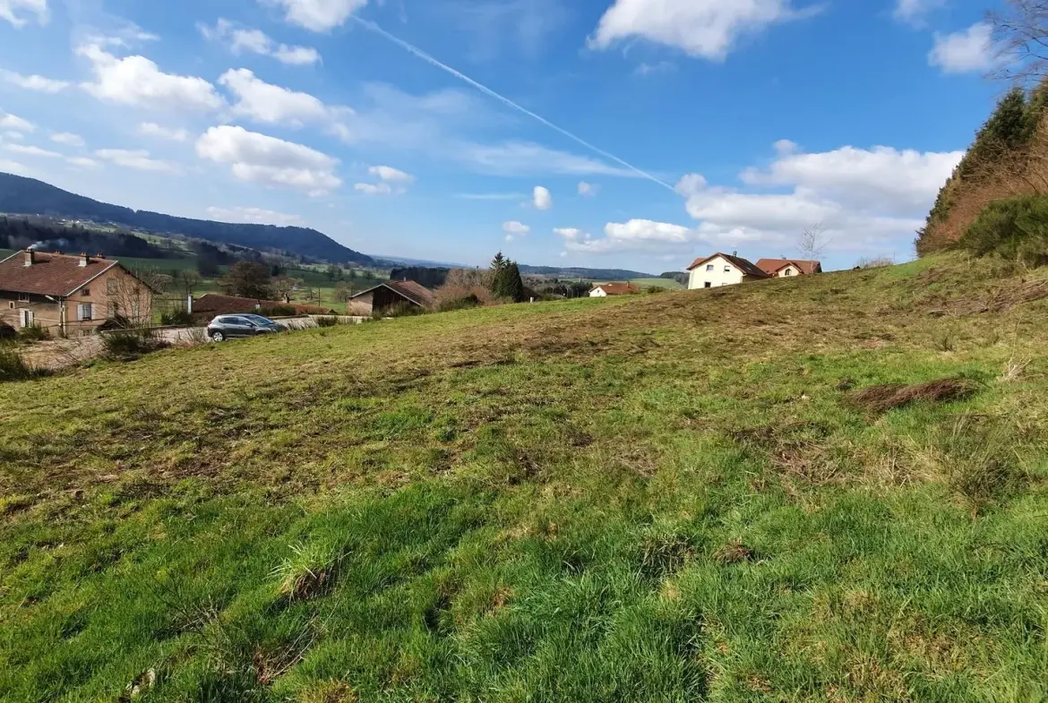 Terrain constructible de 991 m² à Lepanges-sur-Vologne - Opportunity à saisir 