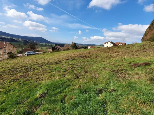 Terrain constructible de 991 m² à Lepanges-sur-Vologne - Opportunity à saisir