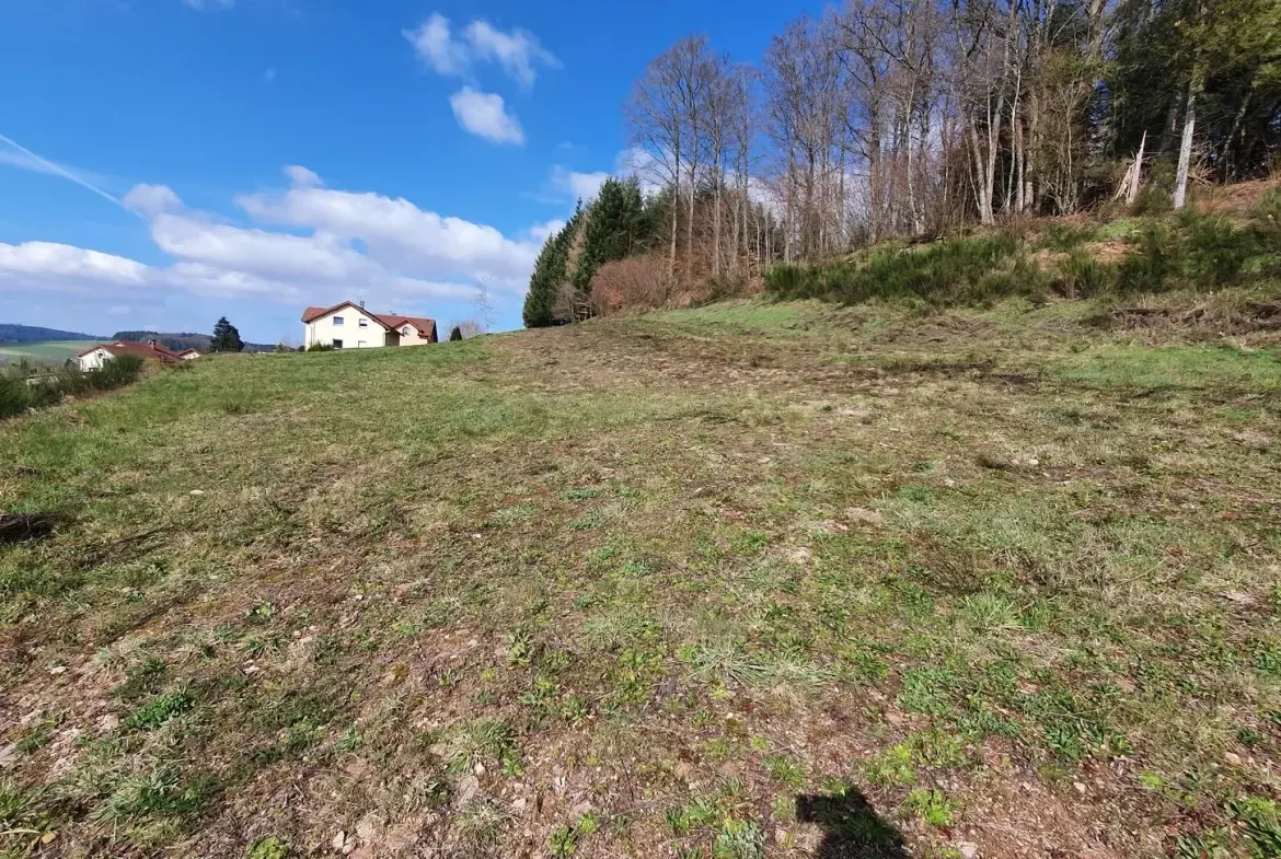 Terrain constructible de 991 m² à Lepanges-sur-Vologne - Opportunity à saisir 