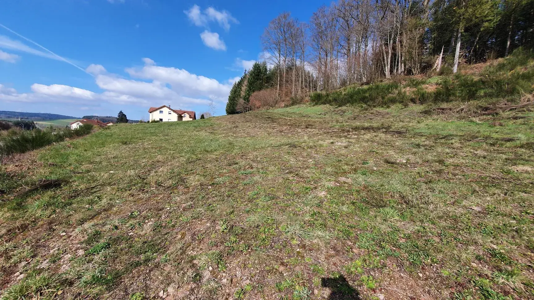 Terrain constructible de 991 m² à Lepanges-sur-Vologne - Opportunity à saisir 