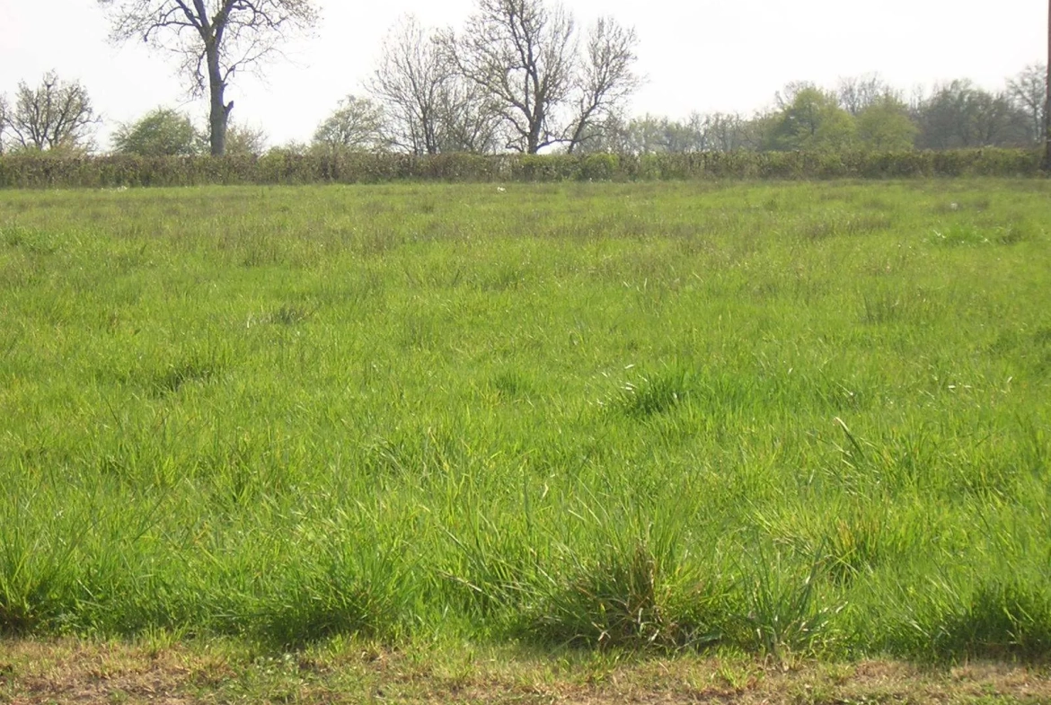 Constructeur maison moderne à Viré sur terrain de 600m² avec prestations haut de gamme 
