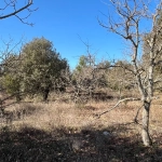 Terrain constructible de 1117 m² à Rustrel face au Colorado