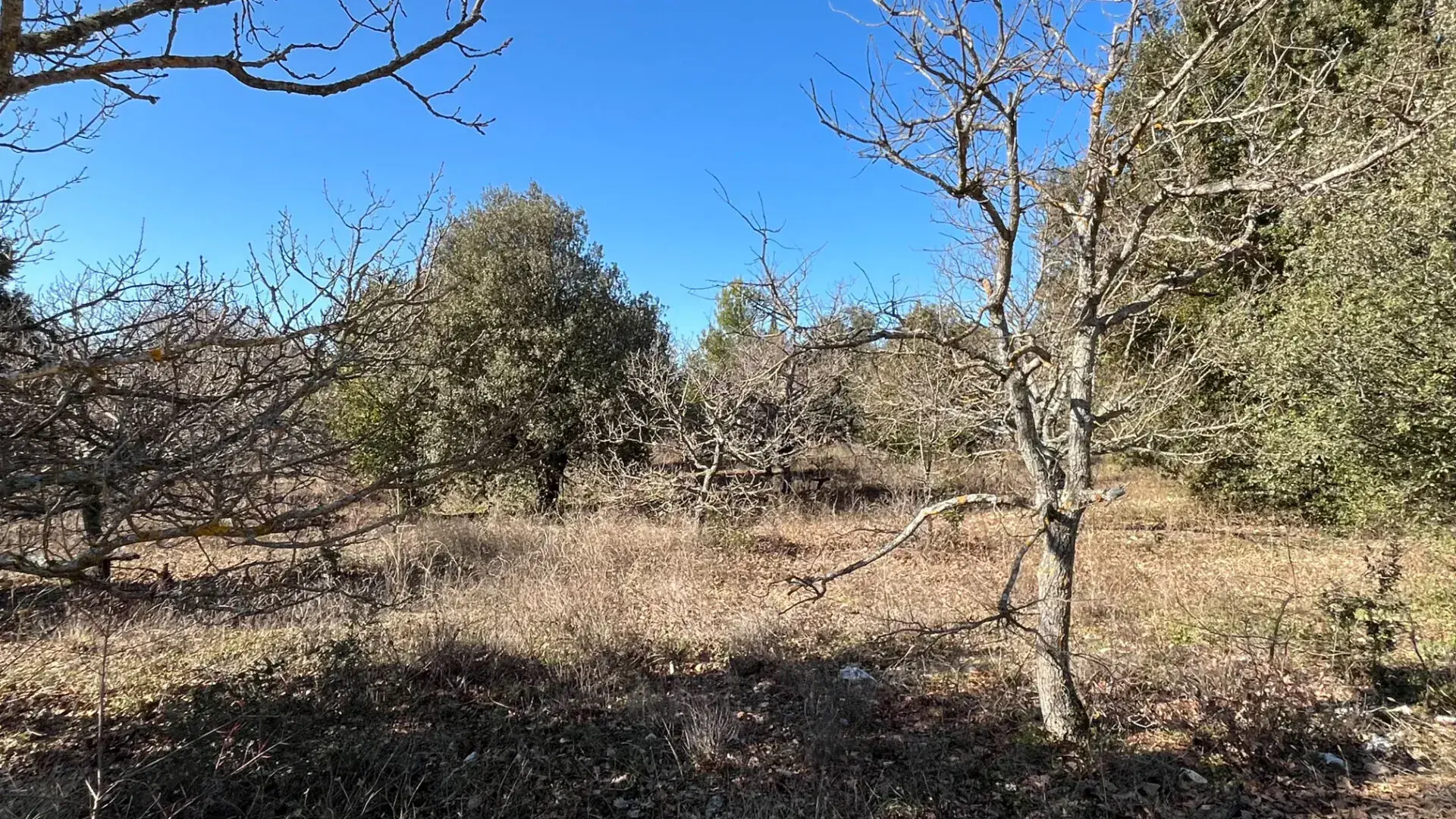 Terrain constructible de 1117 m² à Rustrel face au Colorado 