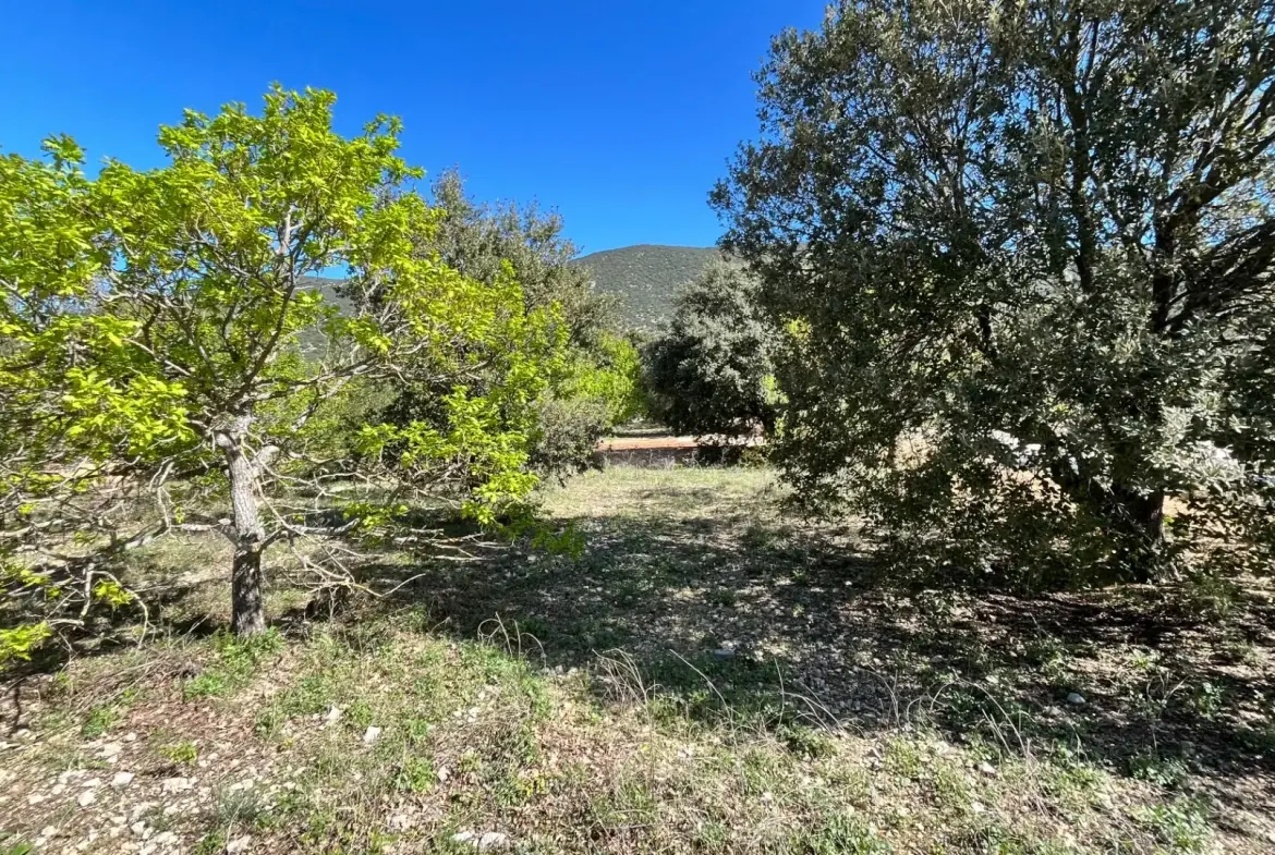 Terrain constructible de 1117 m² à Rustrel face au Colorado 