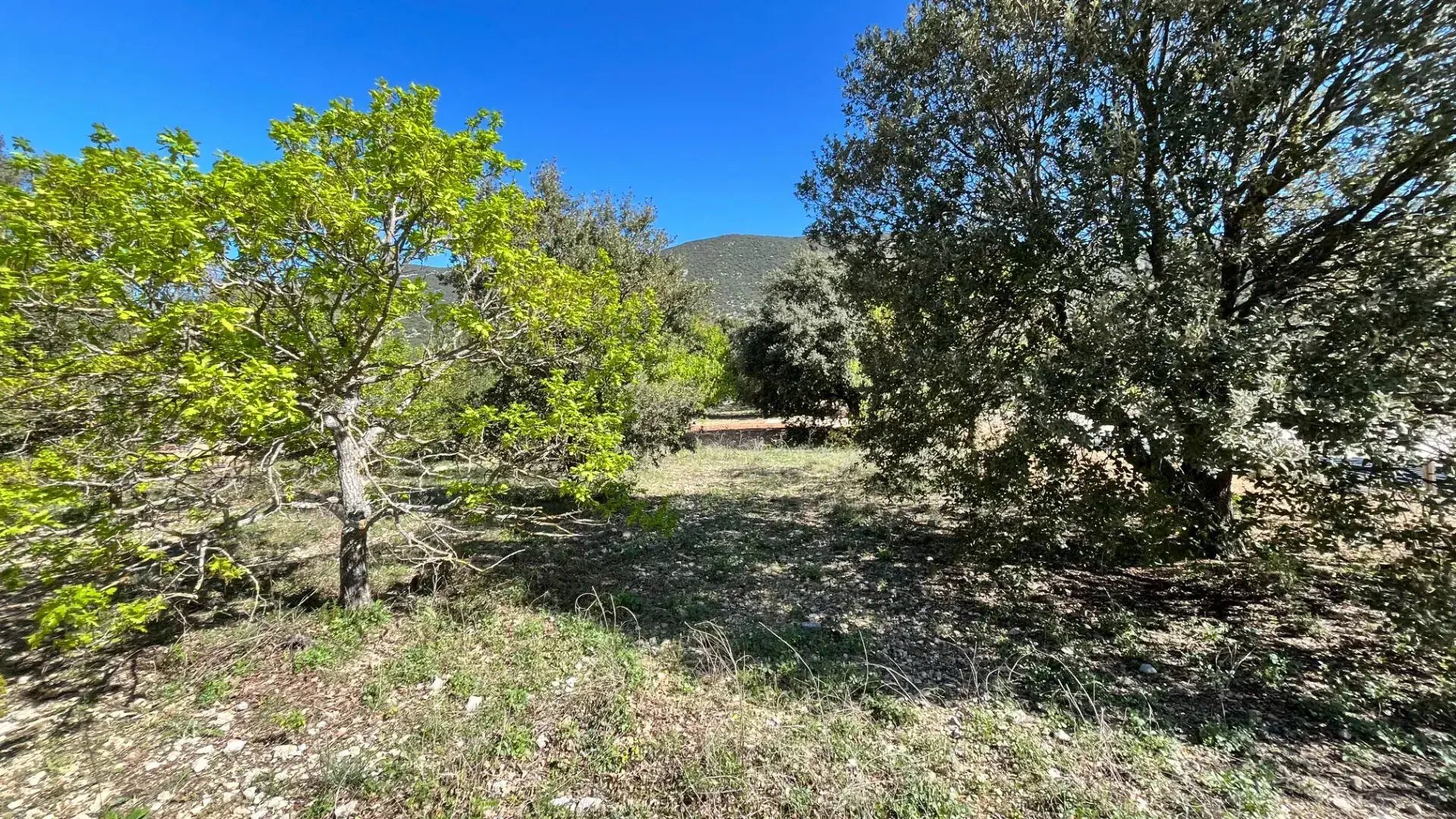 Terrain constructible de 1117 m² à Rustrel face au Colorado 